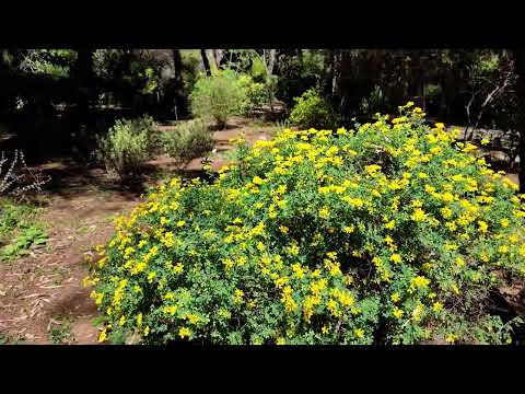 Diomidous Botanical Garden- Athens, Greece by Nicolas C. | 2.5K